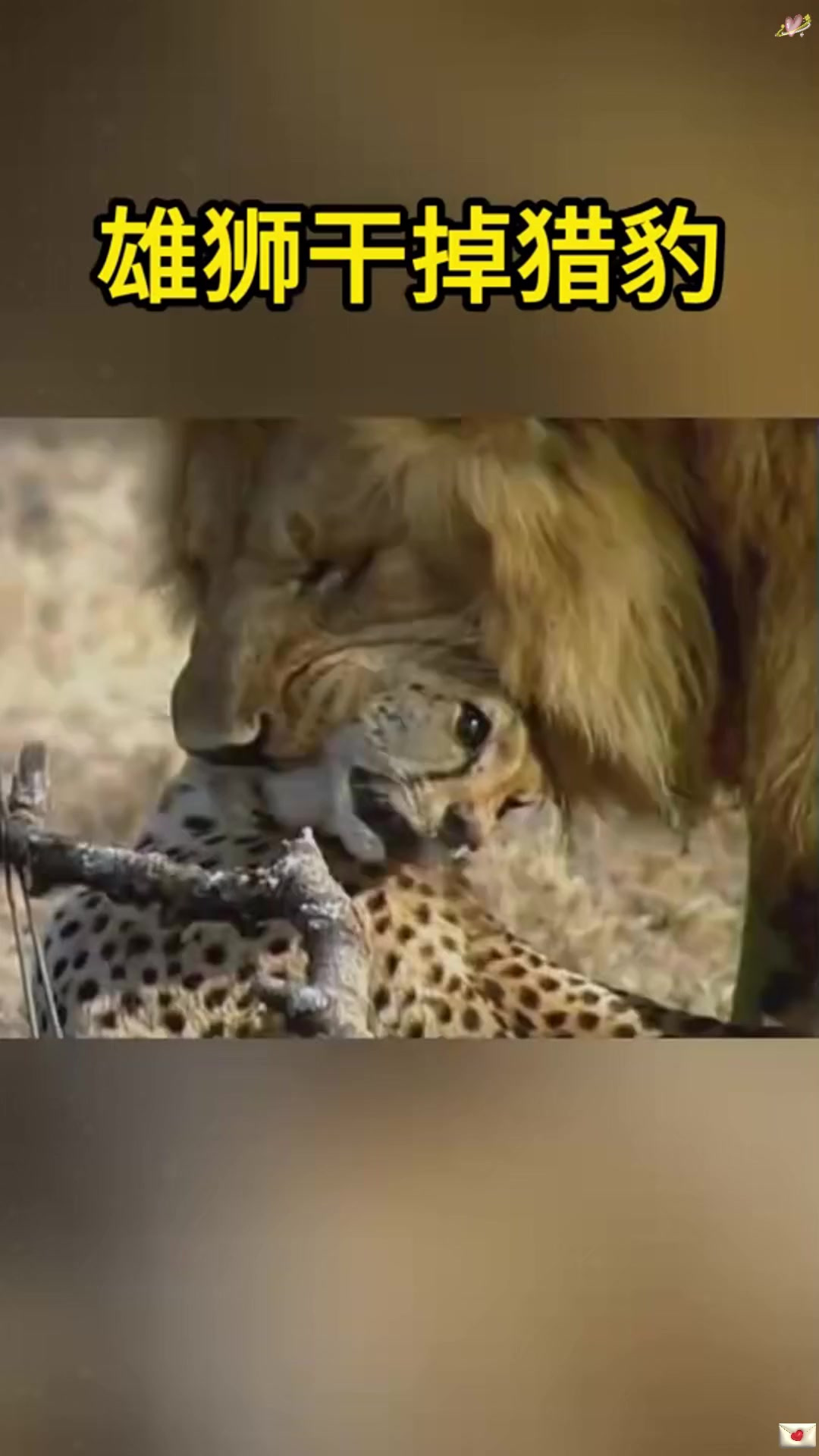 欧国联比赛：雄狮猛虎的搏斗